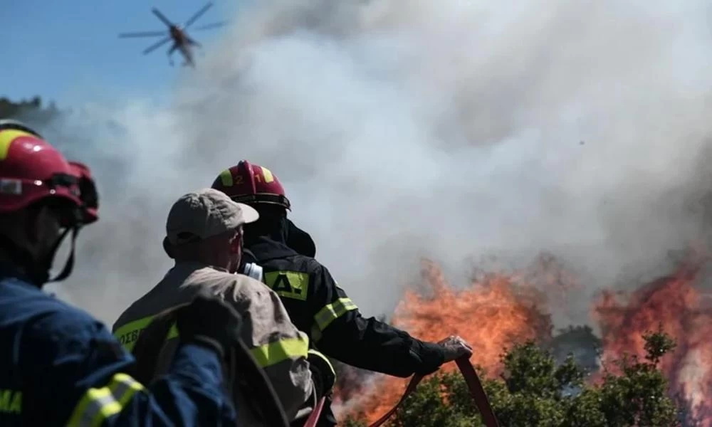 Βόνιτσα: Πυρκαγιά ξέσπασε πριν λίγο σε δάσος